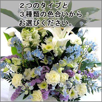 ロイヤリティフリー命日 花 種類 すべての美しい花の画像