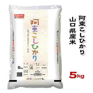 山口県産米／農協直販／ 阿東 こしひかり 5kg | 
