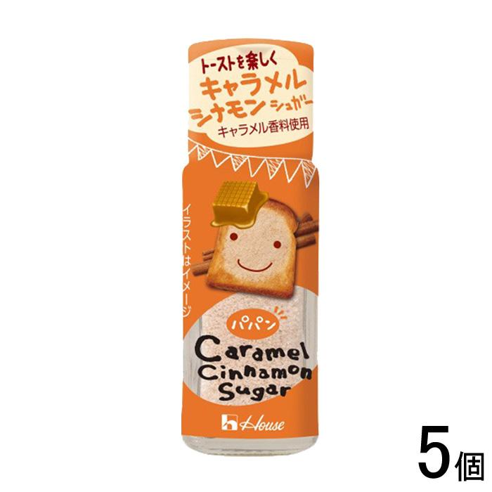GABAN（ギャバン） 5個／ ハウス食品 パパン キャラメルシナモン