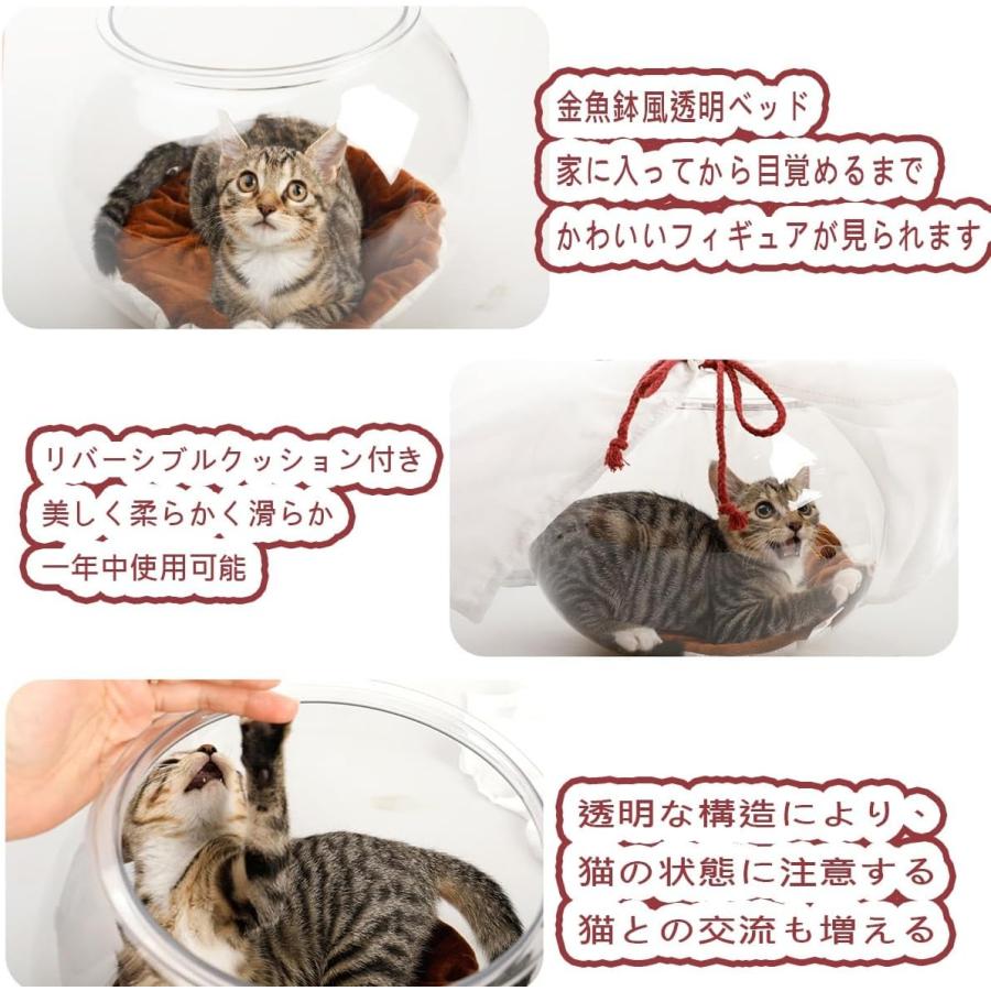 キャティーマン にゃんこの金魚鉢 猫 金魚鉢子猫用金魚鉢 透明