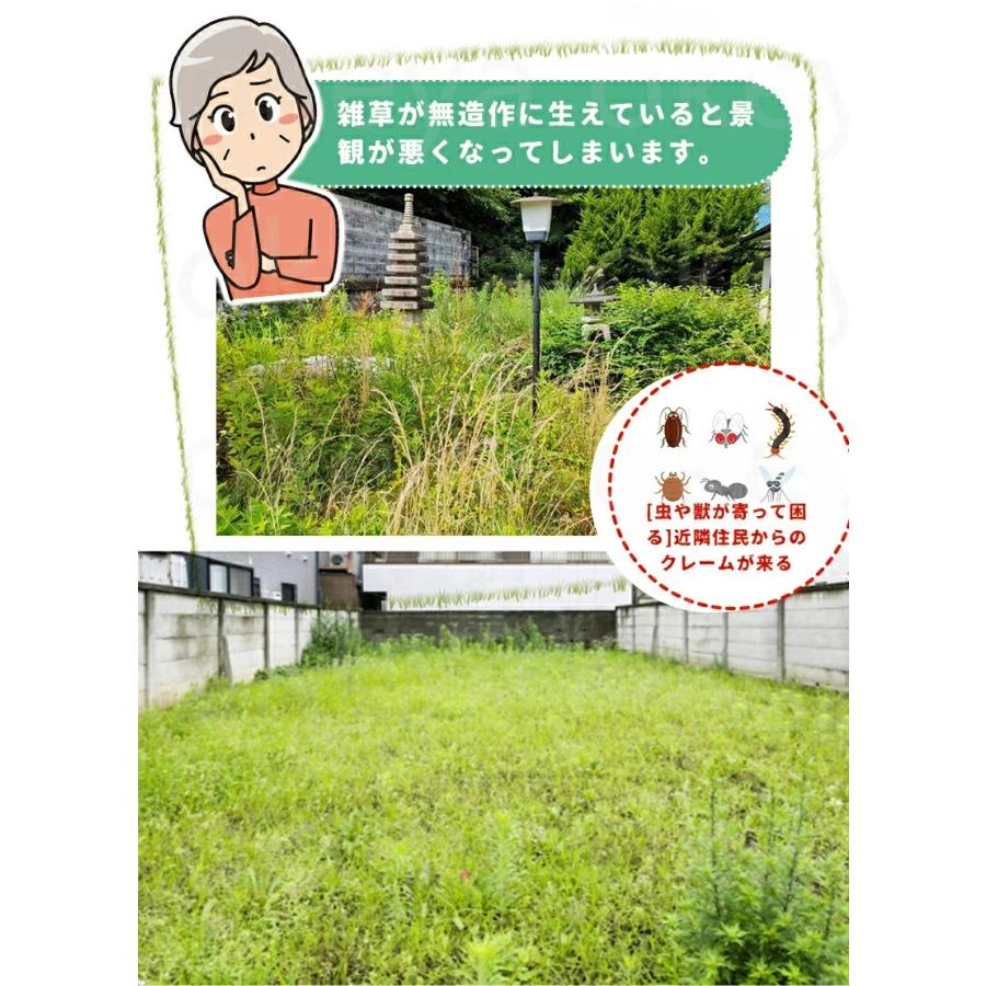 OSALADI 雑草抜きアーティファクト 除草ツールガーデニング OSALADI 雑草抜きアーティファクト 除草ツールガーデニング