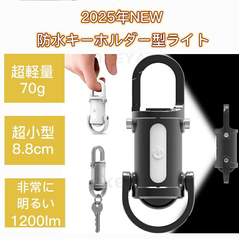 LEDキーチェーンライト キーホルダー型ライト ミニLED懐中電灯