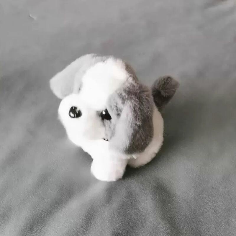 ボンネル　ベルポニーペット1959年販売　約63年前　ほぼ新品　犬ぬいぐるみ NIKSN33510_00_L.jpg