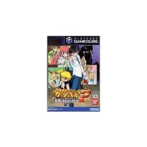 金色のガッシュベル!! 友情タッグバトル2