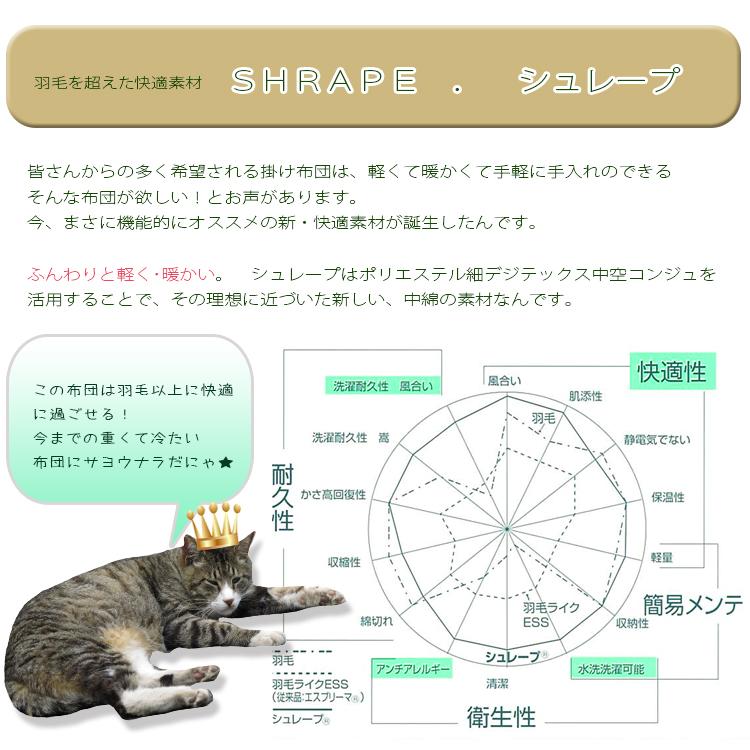 掛布団 抗菌防臭 シングル シュレープ掛布団 SEK 洗えるふとん