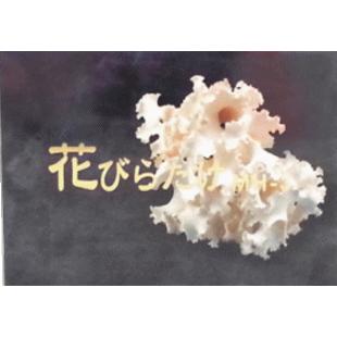 45カプセル添付】花びらたけ（ハナビラタケ）MH-3 320mg×60