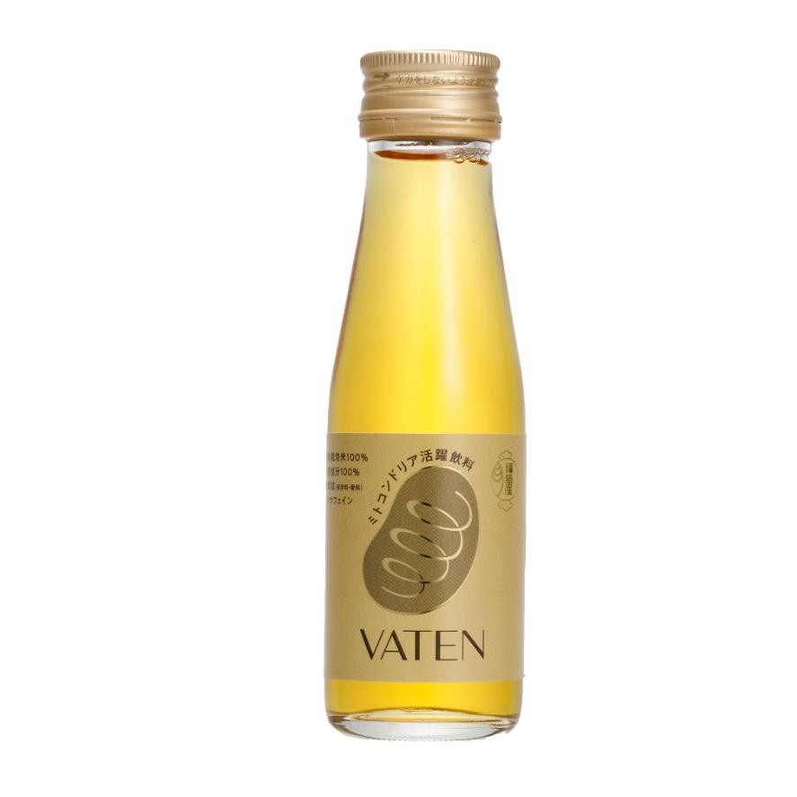 トコンドリア活躍飲料 VATEN バテン 100ml×10本セット の商品画像