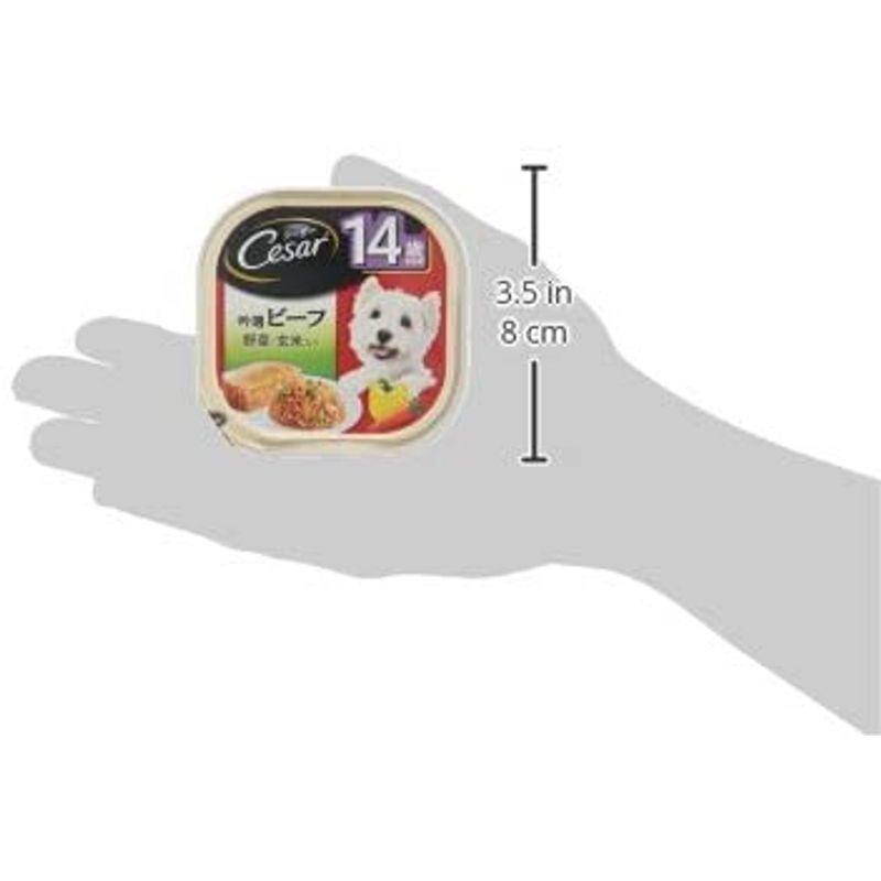 シーザー ドッグフード 14歳からの 吟選ビーフ 野菜・玄米入り シニア犬用 100g×96個 (ケース販売) ドッグフード 14歳からの 吟選ビーフ 野菜 玄米入り シニア犬用 100g×96個 ケース販売