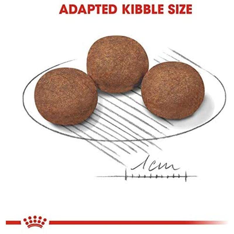 ロイヤルカナン SHN ミディアム ジュニア 犬用 10kg SHN ミディアム ジュニア 犬用 10kg