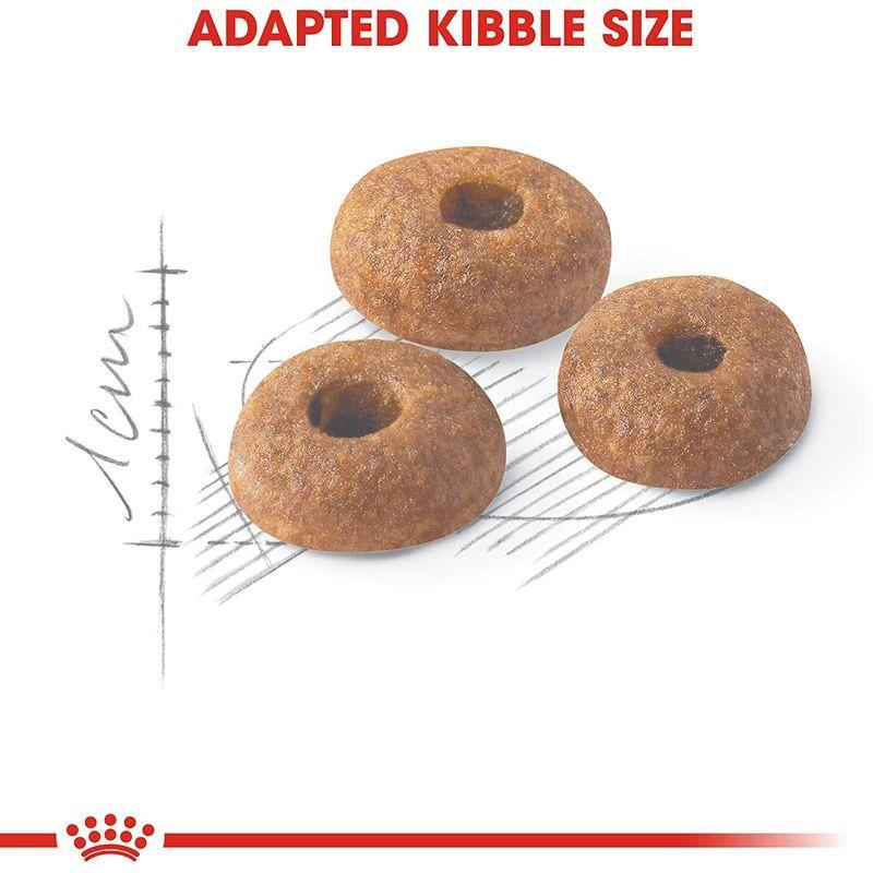 ロイヤルカナン FHN フィット 猫用 10kg ロイヤルカナン FHN 10kg フィット 猫用 G1165448515(10171円)