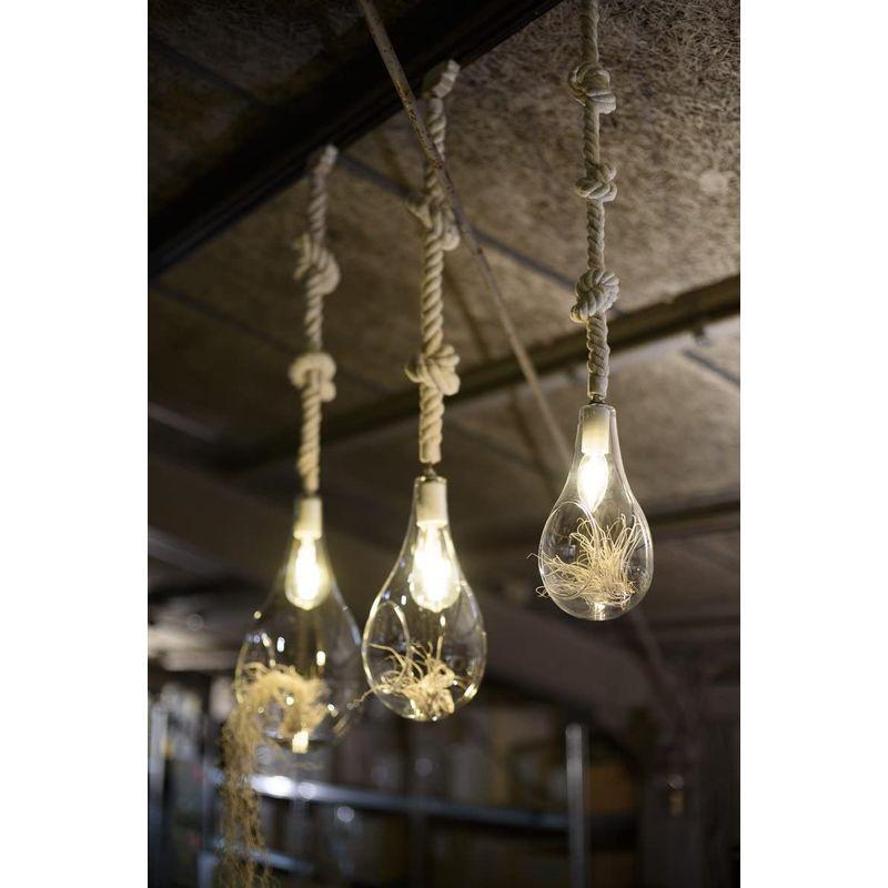 ボタニックハンギングライト S BOTANIC HANGING LIGHT FLYMEe (S APEー