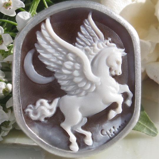 cameo-anm-b45