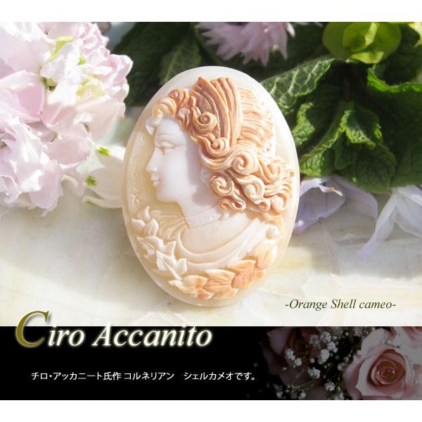 CAMEO Ciro Accanito作 コルネリアンシェル/ルース【優しい微笑み 
