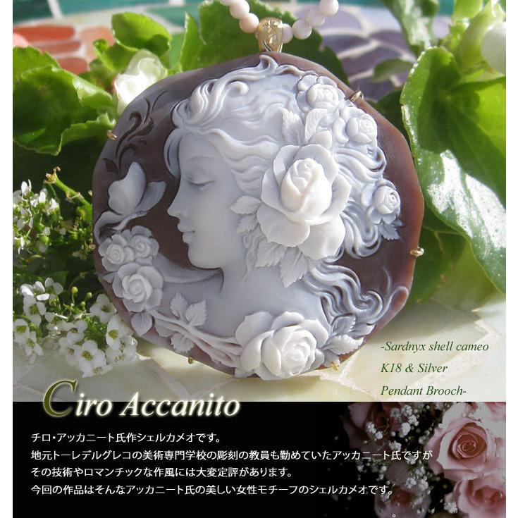 CAMEO アッカニート最新作 Ciro Accanito作 サードニクスシェル カメオ 