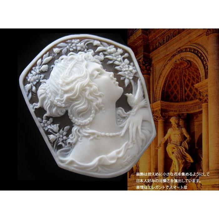 CAMEO（カメオ） Raffaele Pernice作 フルネイム 最高ランク作品シェル