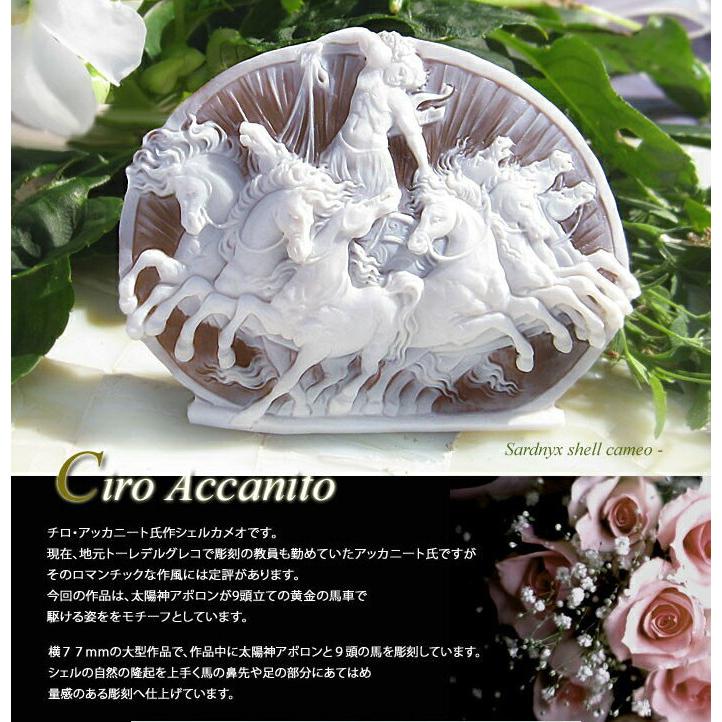CAMEO Ciro Accanito特別作品 シェルカメオ/ルース【アポロンの