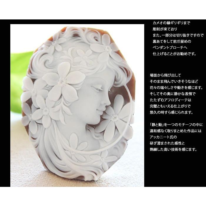 CAMEO（カメオ） Ciro Accanito作 シェルカメオ ルース【女神