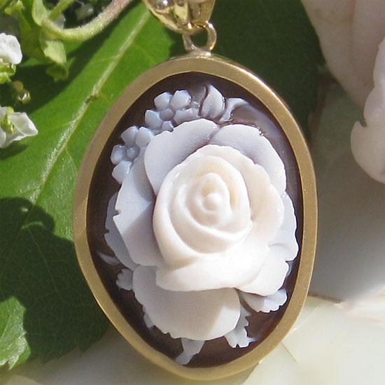 cameo-rose-p374