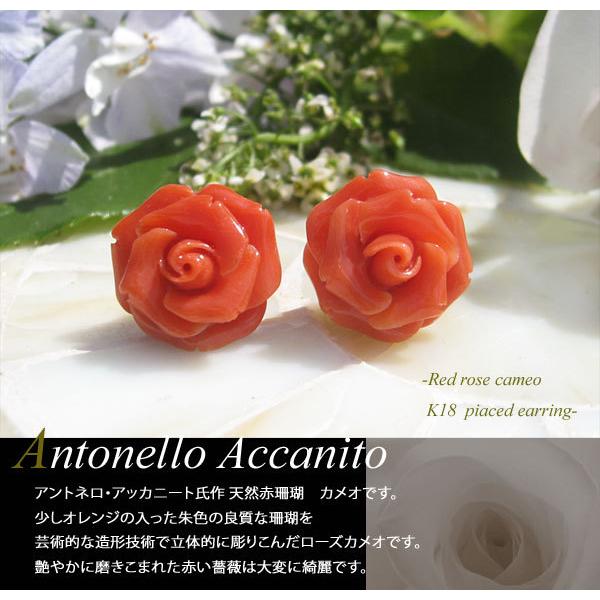 CAMEO 希少作品 Antonello Accanito作 天然上質 赤珊瑚 カメオ