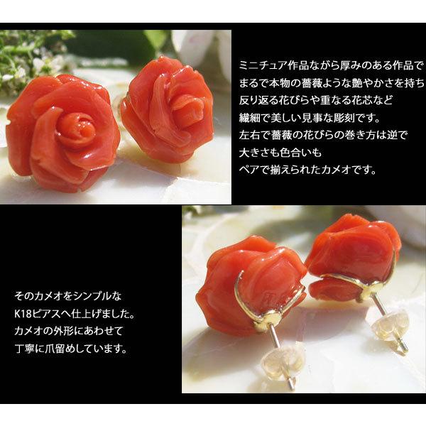 CAMEO 希少作品 Antonello Accanito作 天然上質 赤珊瑚 カメオ