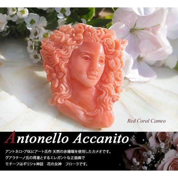 CAMEO Antonello Accanito作 天然上質赤珊瑚カメオ/ルース 【花の女神 