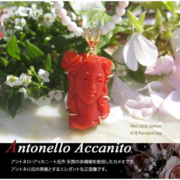 CAMEO Antonello Accanito作 天然上質珊瑚カメオ K18ペンダントトップ 