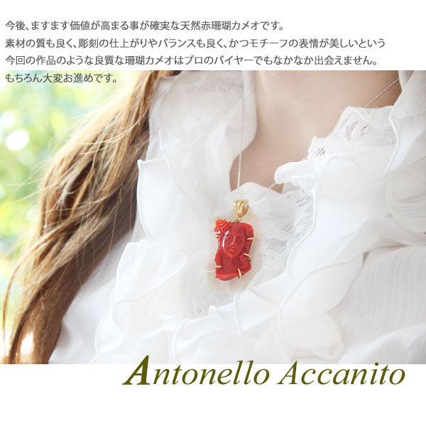 CAMEO Antonello Accanito作 天然上質珊瑚カメオ K18ペンダントトップ 