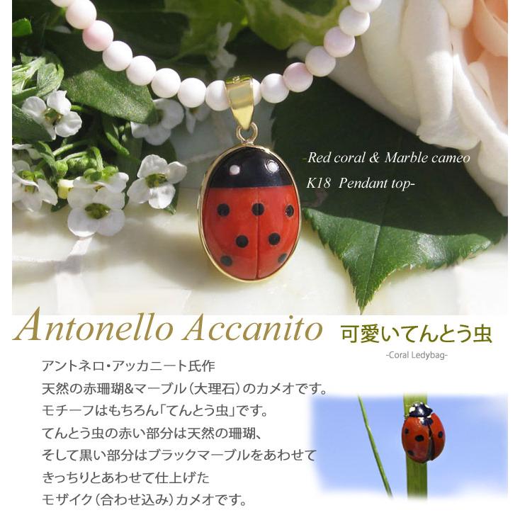 CAMEO Antonello Accanito作 天然上質赤珊瑚 大理石カメオ K18 CAMEO Antonello Accanito作 天然上質赤珊瑚 大理石カメオ K18