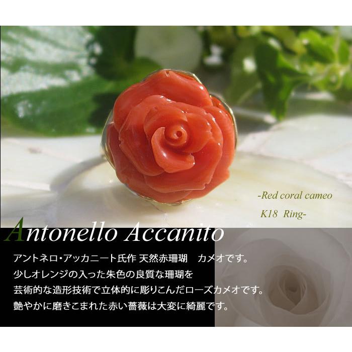 CAMEO（カメオ） Antonello Accanito作 天然赤珊瑚 カメオ / K18 