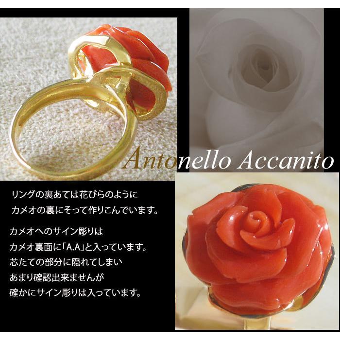 CAMEO（カメオ） Antonello Accanito作 天然赤珊瑚 カメオ / K18 