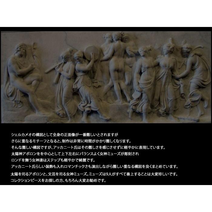 CAMEO カメオ ルース コレクションピース!大変素晴らしい作品 CAMEO カメオ ルース コレクションピース!大変素晴らしい作品