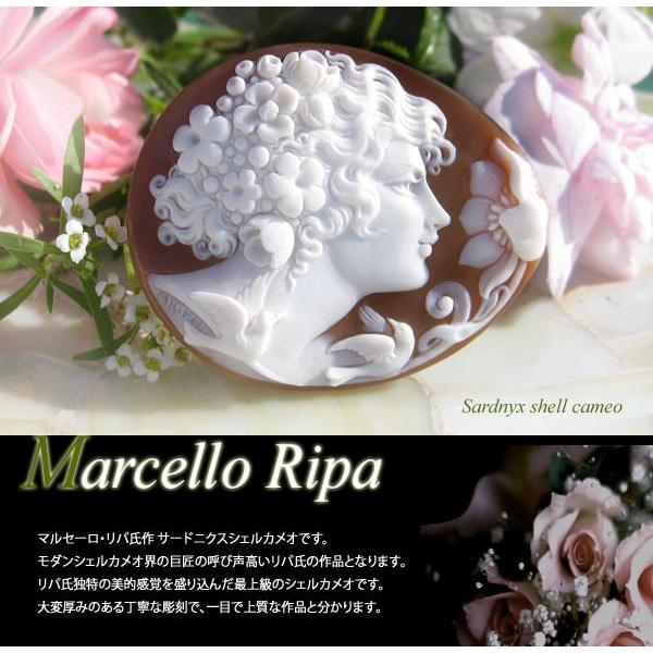 CAMEO Marcello Ripa作 シェルカメオ/ルース素晴らしい彫刻です CAMEO Marcello Ripa作 シェルカメオ/ルース素晴らしい彫刻です