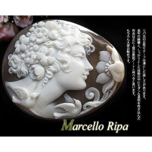 Marcello Ripa作 シェルカメオ/ルース素晴らしい彫刻です！【美しい 