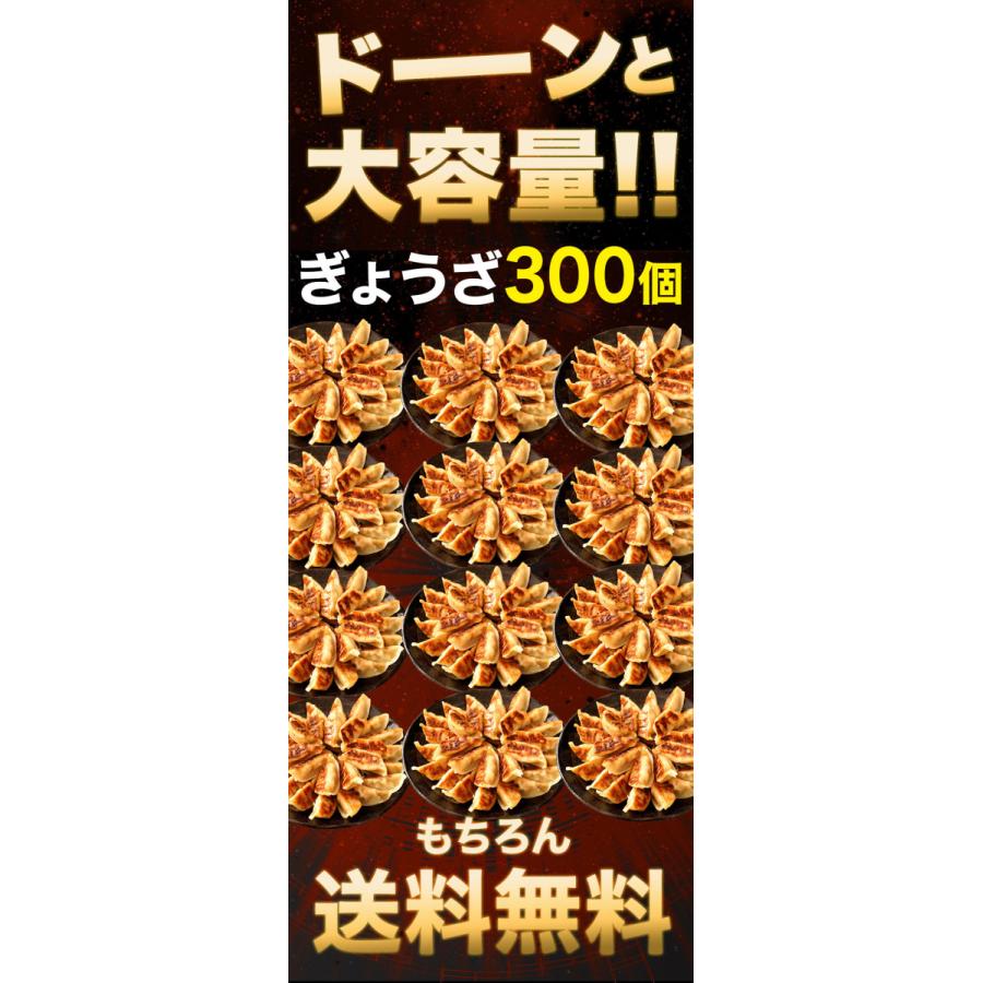 冷凍食品 ぎょうざ　５０個（650ｇ）1ケース (6袋） ニッスイ まとめ買い 大容量 餃子 ギョウザ ギョーザ ひとくち 小ぶり | ニッスイ | 02