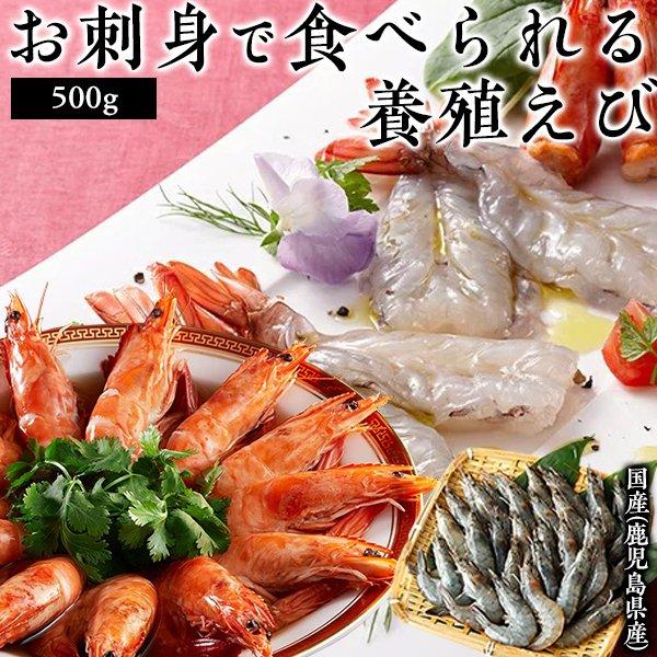 984円 でおすすめアイテム 父の日 厳選 内祝い 送料無料 ニッスイ ギフト エビ 食べ物 海鮮 白姫えび 500g 鹿児島県産 お取り寄せグルメ 海老 プレゼント
