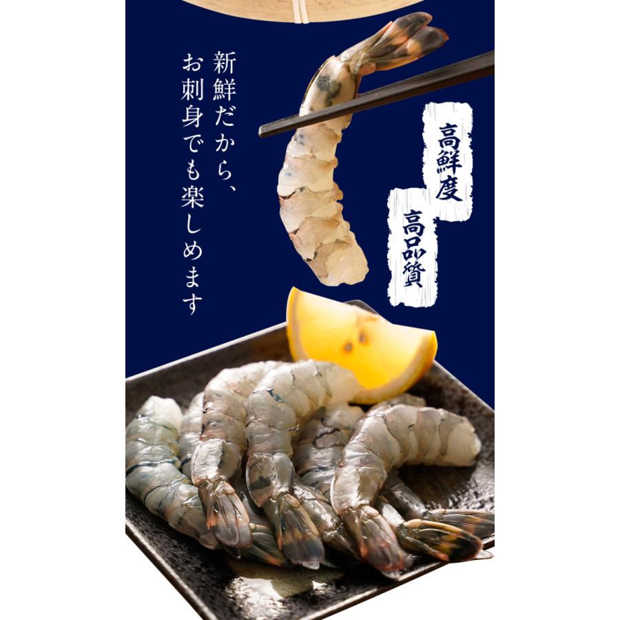 内祝い ニッスイ ギフト エビ 海鮮 聖なるえび 1kg ギフト えび 海老 お取り寄せグルメ 送料無料 刺身 マリネ 酒蒸し ニッスイ公式ショップyahoo 店 通販 Yahoo ショッピング