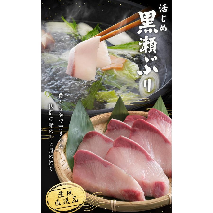 ニッスイ 活〆黒瀬ぶり ロイン スキンレス 4本入り 2kg前後 刺身 ブリ