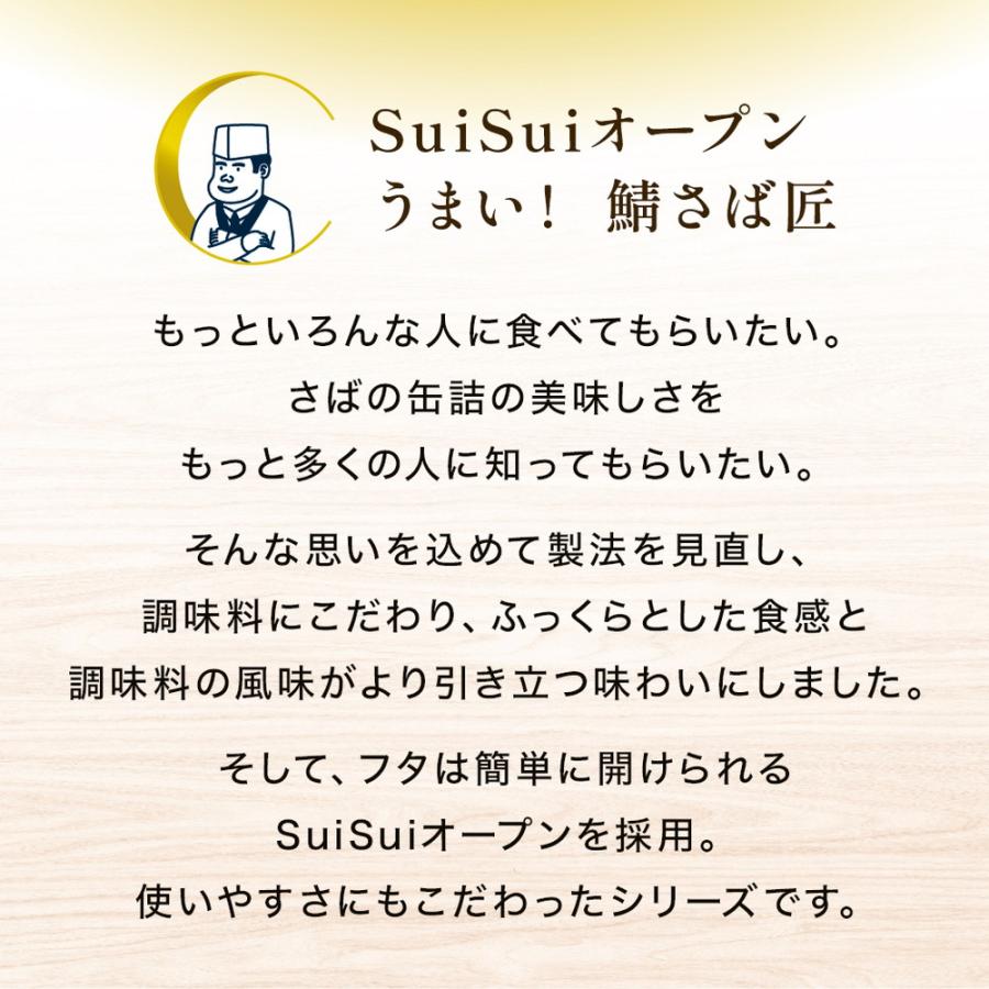 Z＼お得なクーポン配布中／さば 缶詰 鯖缶 サバ缶 さば缶 非常食 保存食 まとめ買い サバ サバの味噌煮 鯖匠さばみそ煮180g×12缶セット 爆買 ポイント消化 | ニッスイ | 02