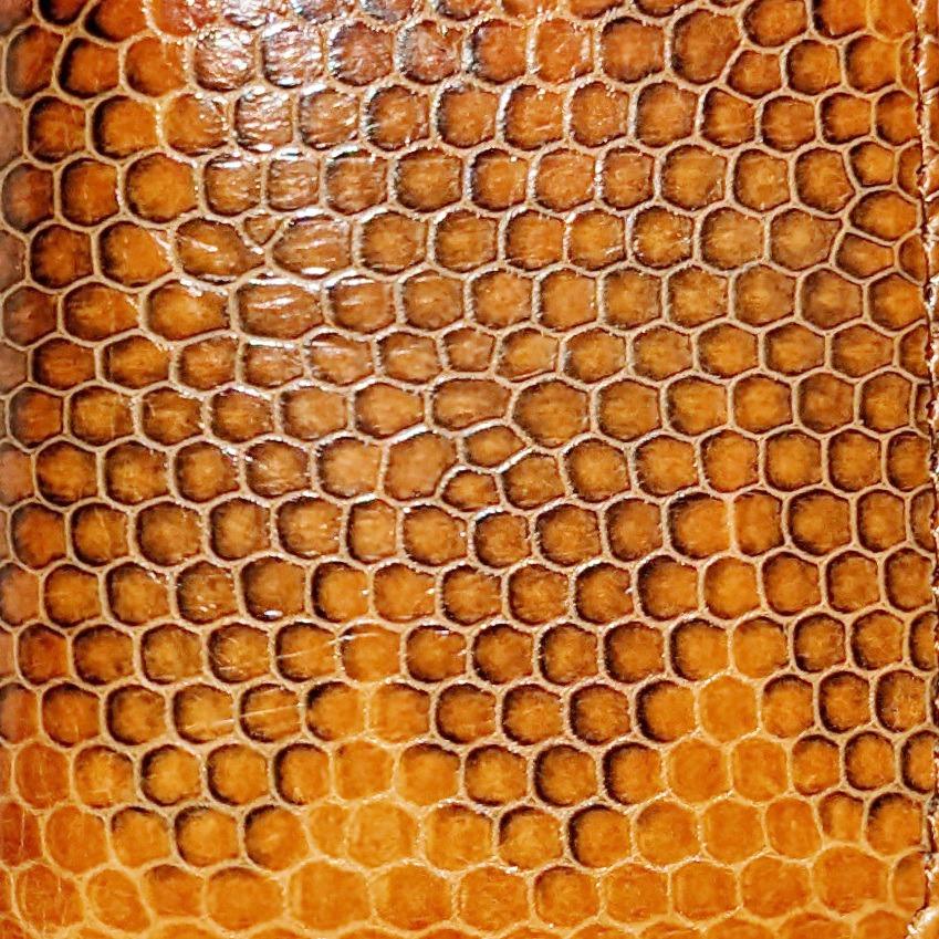 キーケース スマートキー 本革 本皮 レザー 海蛇革 ウミヘビ ブラウン 四連キーフック付き メンズ レディース (送料無料 メール便) | ブランド登録なし | 04