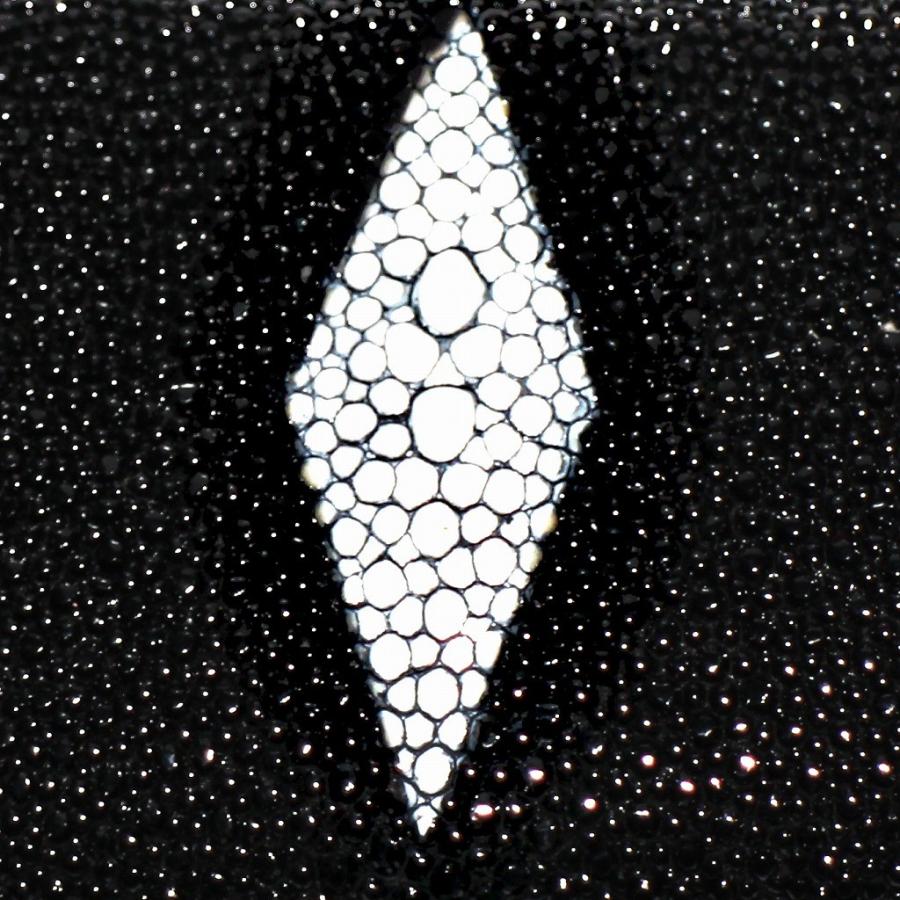 エイ皮 キーケース　本皮 スティングレー 小銭入れ 付き（送料無料　メール便 代引き日時指定不可） | ブランド登録なし | 06