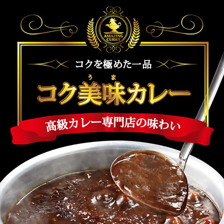 カレー 100時間カレー 1袋 250円 ポイント消化 コク美味カレー 7袋セット｜100hours-curry｜02