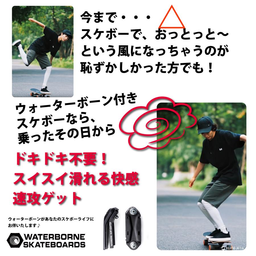 ロングスケートボード ロンスケ HEAVEN SKATEBOARD -MALIBU39-WB