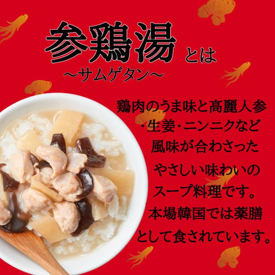 世界の屋台めし 韓国の屋台飯3種セット 参鶏湯(サムゲタン) ソルロンタン(雪濃湯) ユッケジャン (送料無料)(常温便)訳あり｜100pine｜05