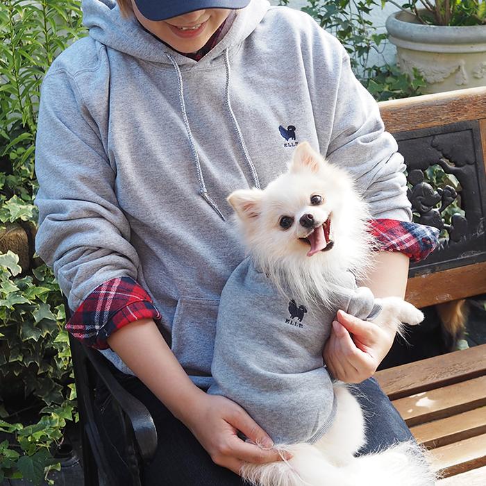 Ｃ*Ｒ様 【KN便】ブセファランドラsp.オーロラ ブセファランドラsp.オーロラ❣️Bucephalandra sp.aurora KN便