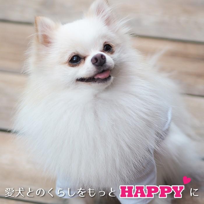 カメラペアTシャツ S-XLサイズ 犬 飼い主 ペアルック送料無料 ペット