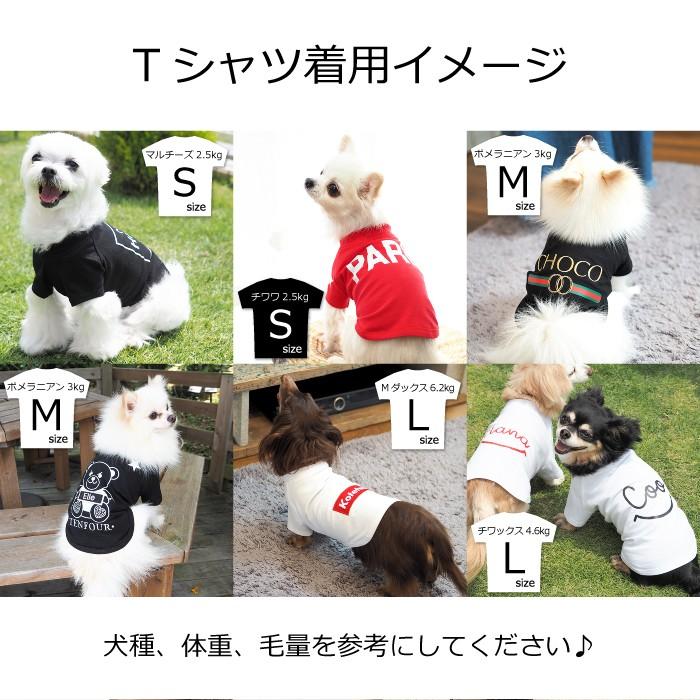 オールドスクール ペアTシャツ 小型犬S-XLサイズペアルック ペットとお揃い Tシャツ 犬 服 名前入り 名入れ 送料無料｜104-tenfour｜07