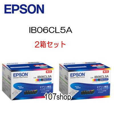 ((EPSON メーカー純正品)) ((2箱セット)) エプソン IB06CL5A (シアン・イエロー・マゼンタ各1本+ブラック2本) ×2箱 ((代引き：不可))