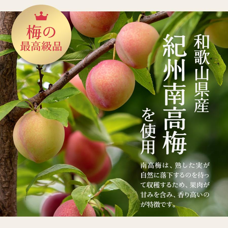 うめこぶページ①⑥ 梅昆布茶 梅こぶ茶 100g 梅昆布 梅こんぶ 梅こんぶ茶 昆布茶 健康茶