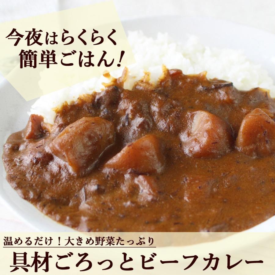 具材ごろっとビーフカレー 20食セット レトルトカレー レストランユースカレー  220g×12食セット レトルト食品 ニチレイ 宅配便A セール｜109-sen｜05