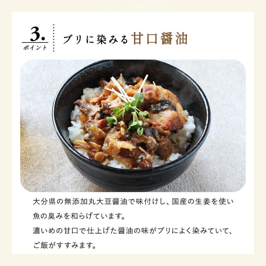 魚惣菜 ブリのつゆだくあら煮丼 3食セット 骨まで食べられる レトルト食品 国産 常温保存 大分産 養殖 Dha Epa Tsg S 木曜日は2分ゴハン 通販 Yahoo ショッピング